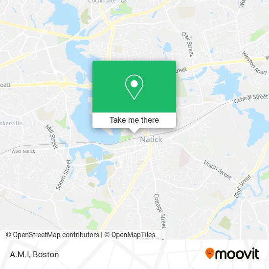 A.M.I map
