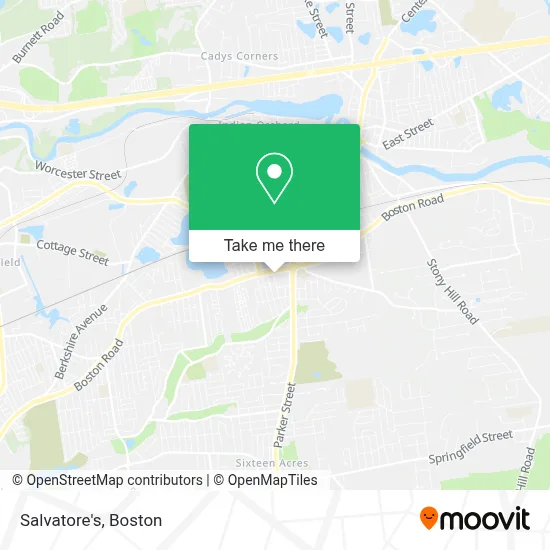 Salvatore's map