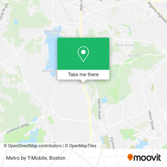 Metro by T-Mobile map