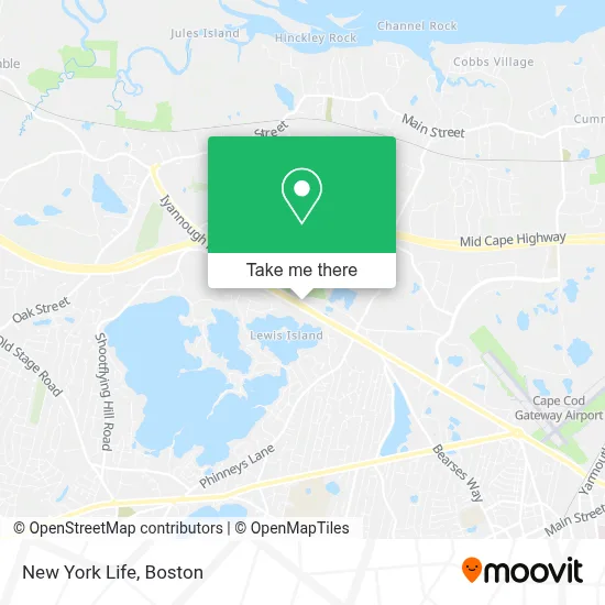 New York Life map