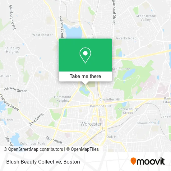 Blush Beauty Collective map