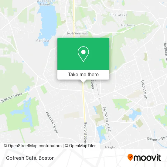 Gofresh Café map