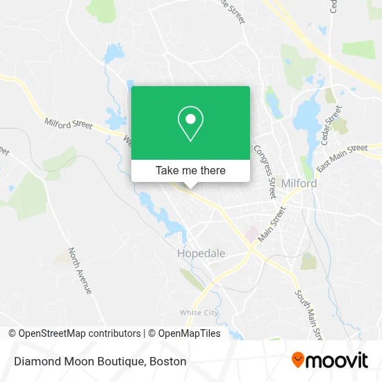 Diamond Moon Boutique map