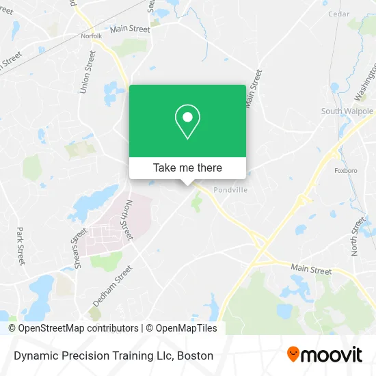 Dynamic Precision Training Llc map