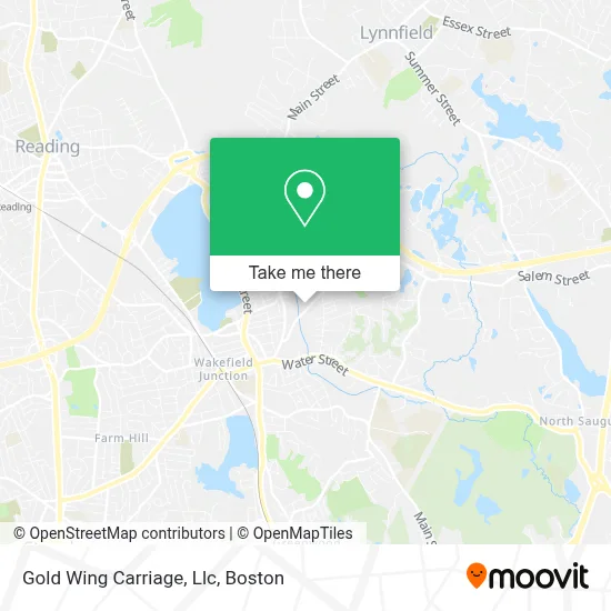 Gold Wing Carriage, Llc map
