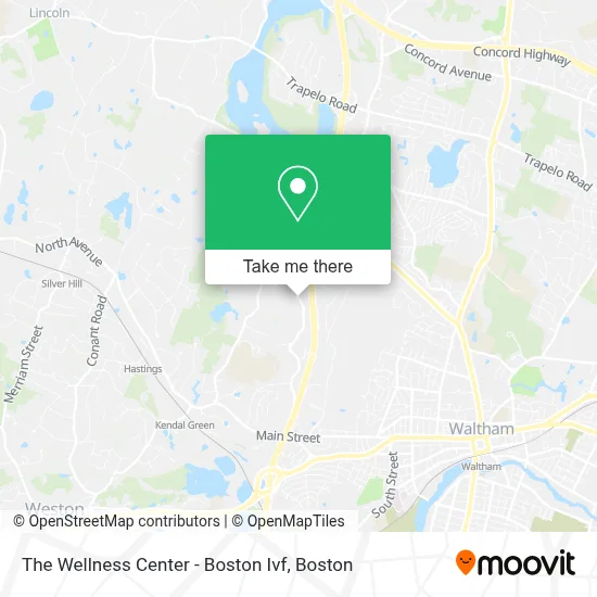 The Wellness Center - Boston Ivf map