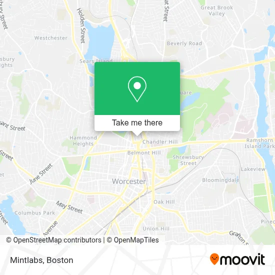 Mintlabs map