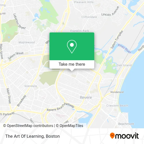 The Art Of Learning map