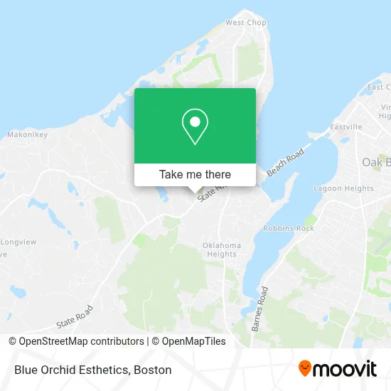 Blue Orchid Esthetics map