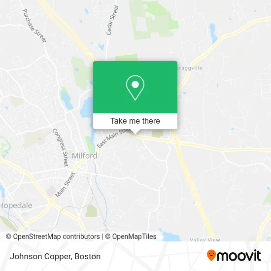 Johnson Copper map