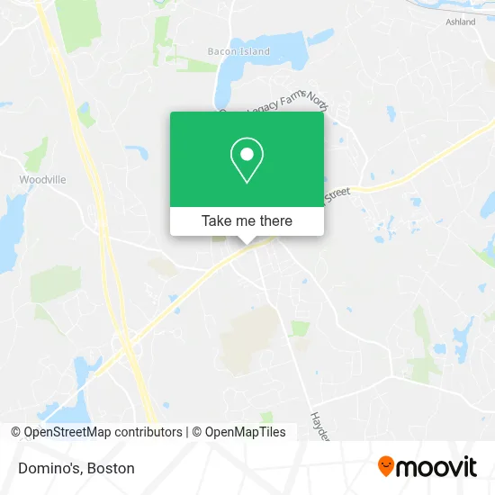 Domino's map