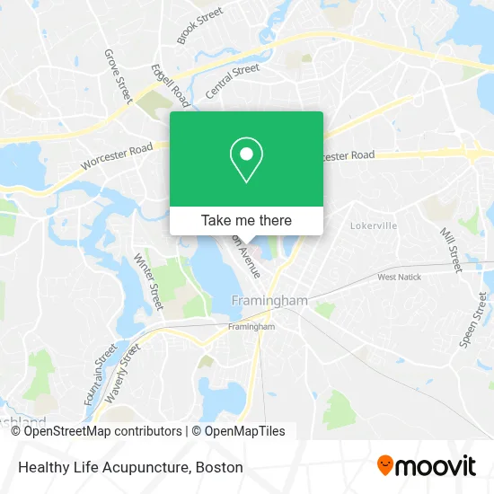 Healthy Life Acupuncture map