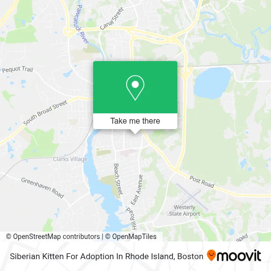 Siberian Kitten For Adoption In Rhode Island map