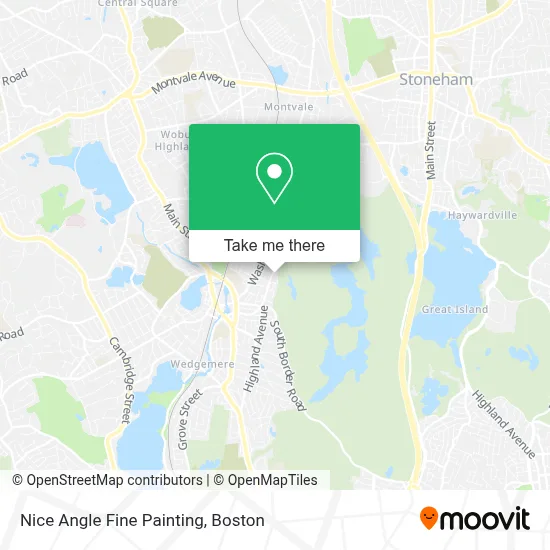 Nice Angle Fine Painting map