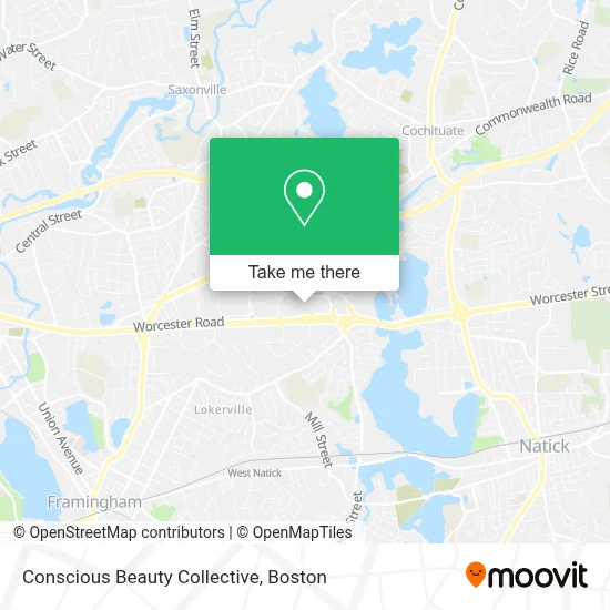 Conscious Beauty Collective map