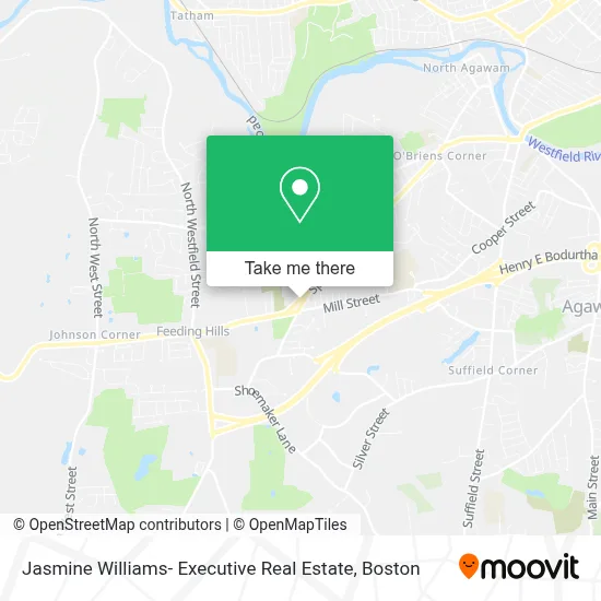 Jasmine Williams- Executive Real Estate map