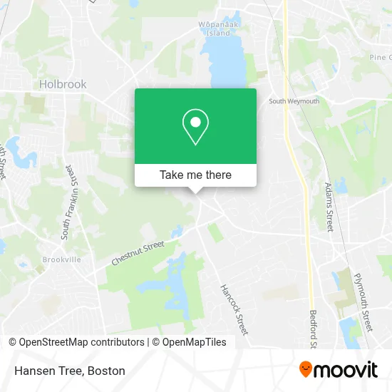 Hansen Tree map