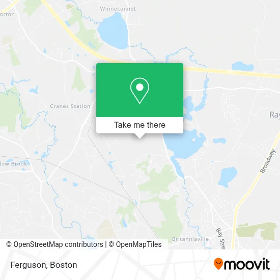Ferguson map