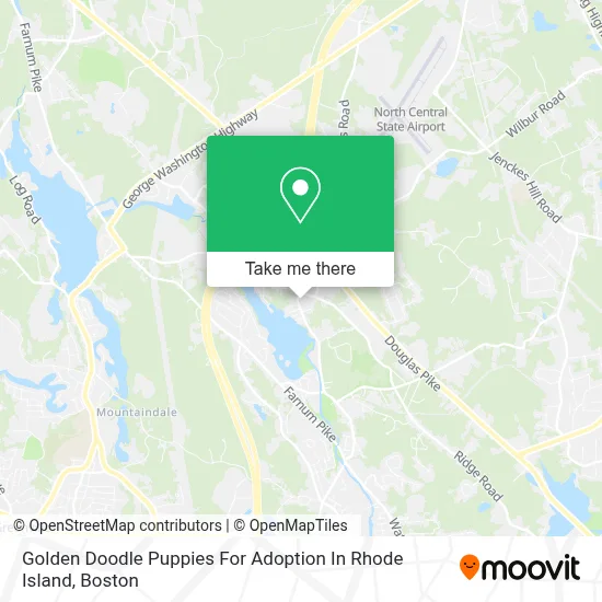 Golden Doodle Puppies For Adoption In Rhode Island map