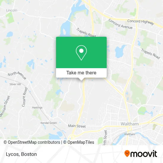 Lycos map