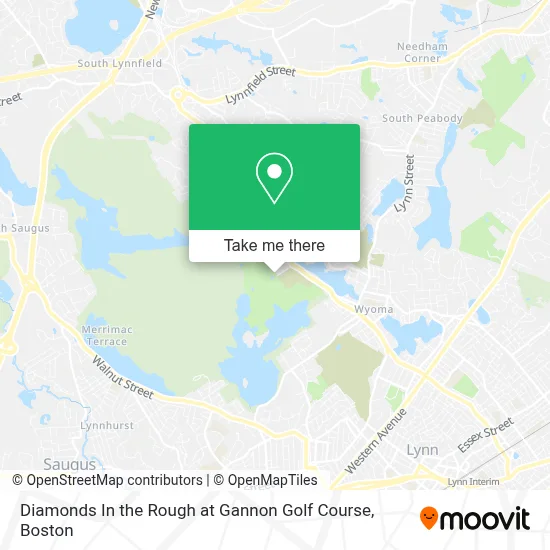 Diamonds In the Rough at Gannon Golf Course map