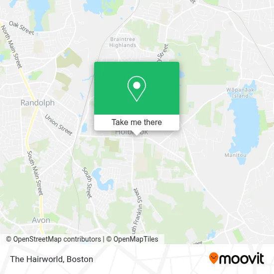 The Hairworld map