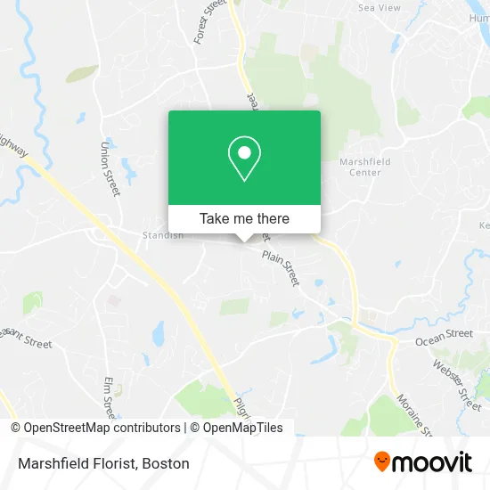 Marshfield Florist map