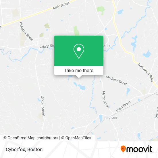 Cyberfox map