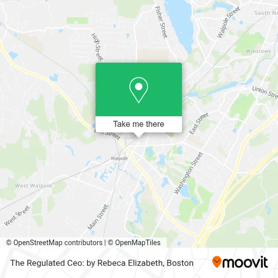 The Regulated Ceo: by Rebeca Elizabeth map