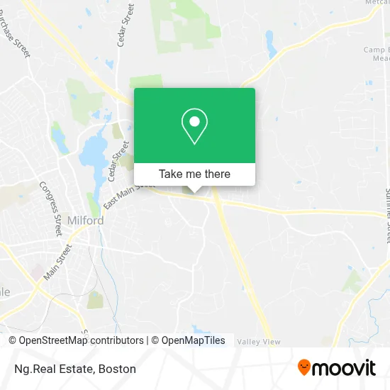 Ng.Real Estate map