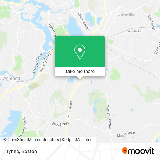 Tynho map