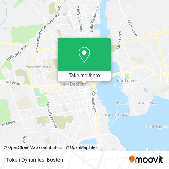 Token Dynamics map