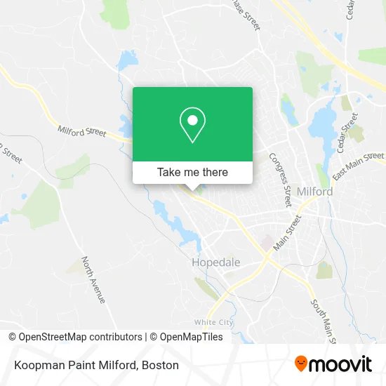 Koopman Paint Milford map