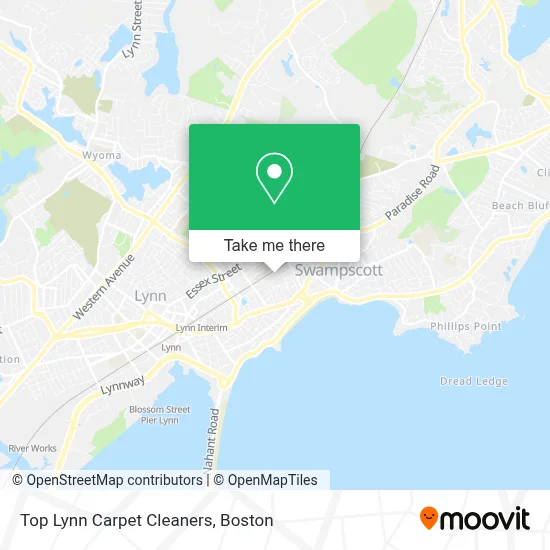 Top Lynn Carpet Cleaners map