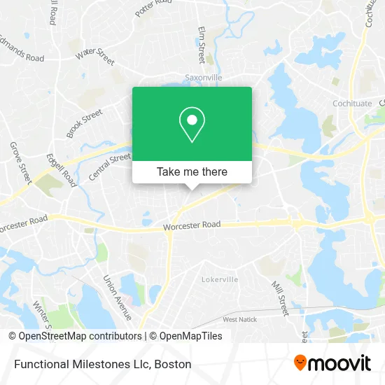 Functional Milestones Llc map