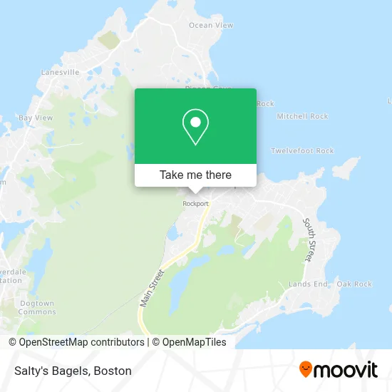 Salty's Bagels map