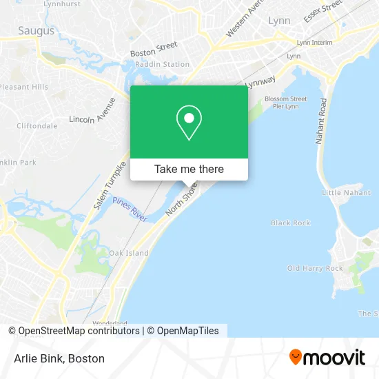 Arlie Bink map
