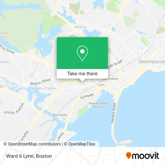 Ward 6 Lynn map