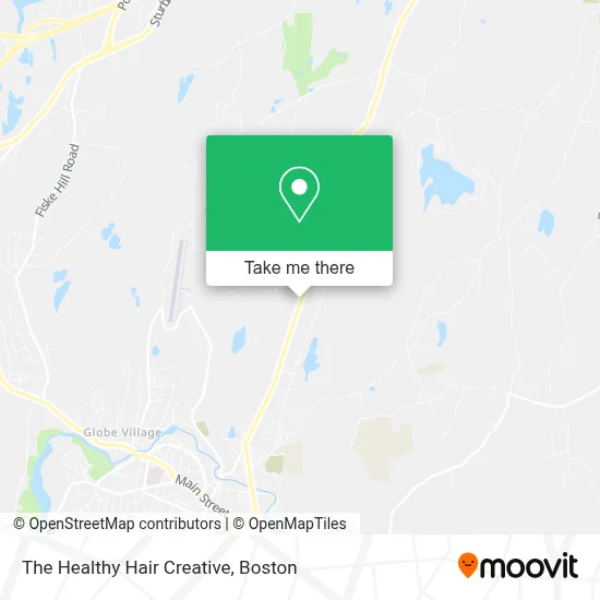 The Healthy Hair Creative map