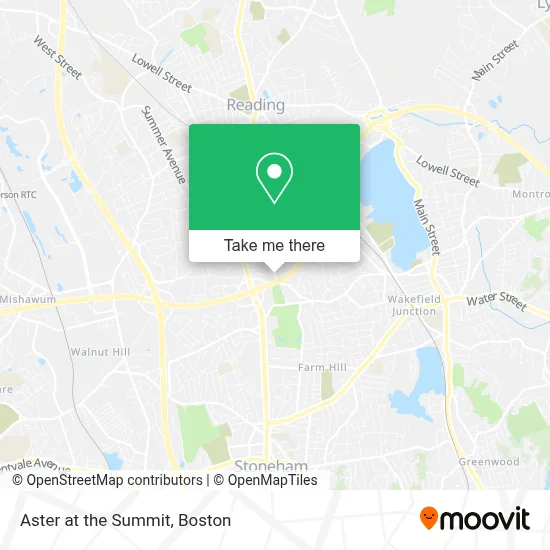 Aster at the Summit map