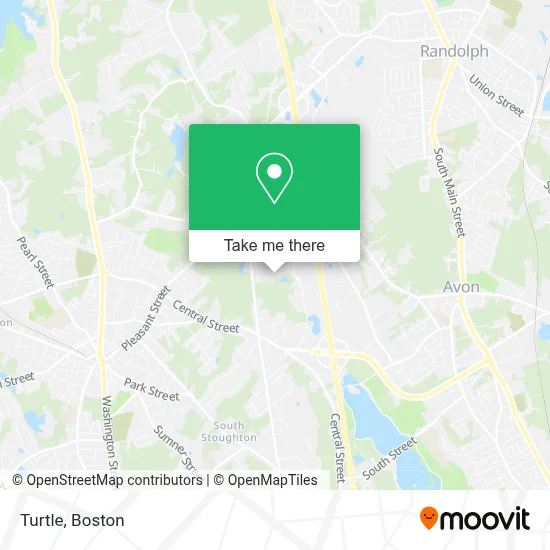 Turtle map