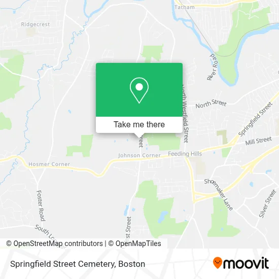 Springfield Street Cemetery map