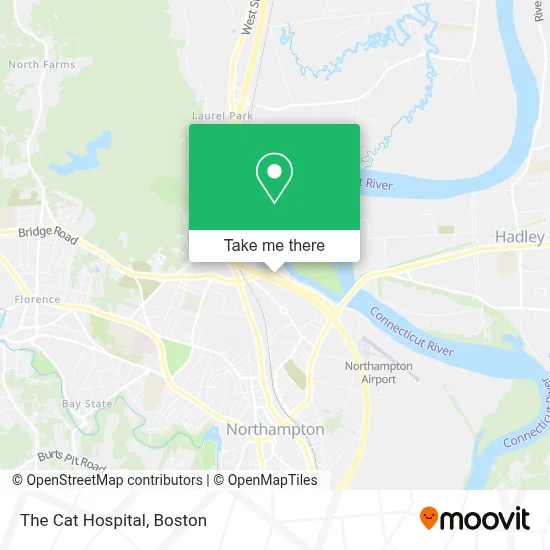 The Cat Hospital map