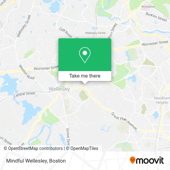Mindful Wellesley map