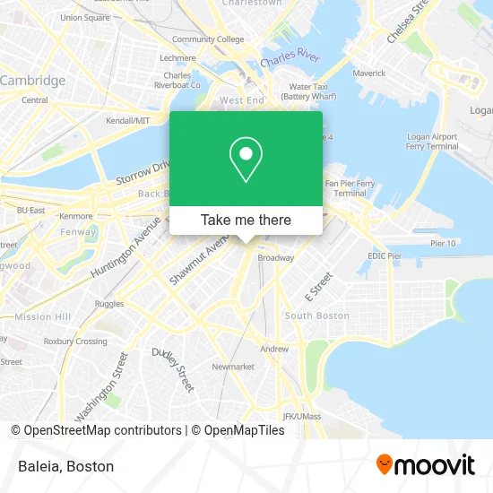 Baleia map