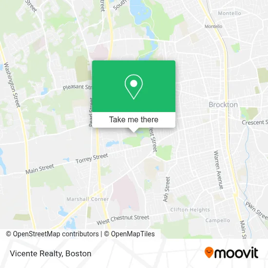 Vicente Realty map