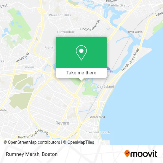 Rumney Marsh map