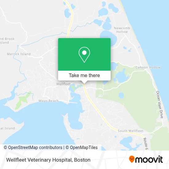 Wellfleet Veterinary Hospital map