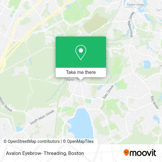 Avalon Eyebrow- Threading map