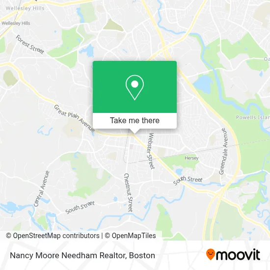 Nancy Moore Needham Realtor map
